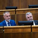 SR NRSR 43. schôdza zasadnutie BAX