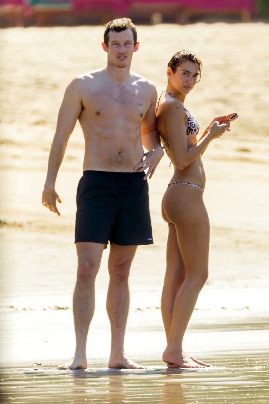 Speváčka Dua Lipa a jej partner - herec Callum...