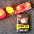 Dominik Dan Vestica