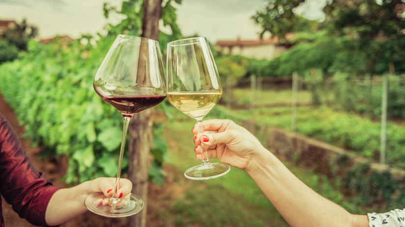 víno, vinár, vinári, vinohrad, pohár vína,