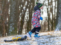 Koliba, sneh, sánkovanie, Bratislava, sneženie