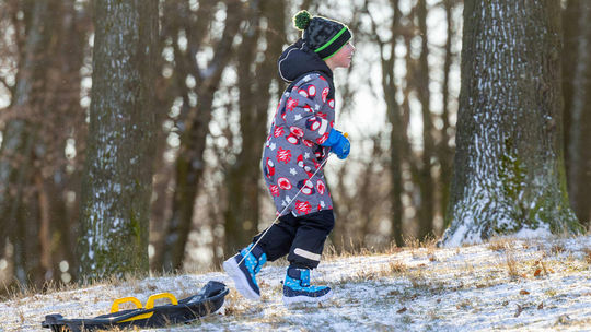 Dorazil prvý väčší sneh tejto zimy, pokryl celé Slovensko. V Bratislave vytiahli sánky