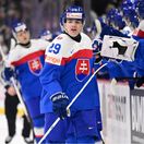 Nepredvádzajte nám tu ten váš nitriansky hokej! Chrenko s Nemcom patria medzi najlepších, ukazujú hru, s ktorou boli úspešní Čechoslováci