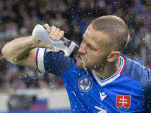 Vavrovi hrozí až dvojročný trest. Porušil...