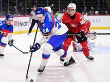 Najhorší výkon Slovákov na MS. V zápase o...