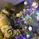 Ukrajinský vojak pri stromčeku