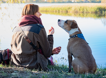 pes, výcvik, žena,