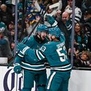 regenda san jose NHL