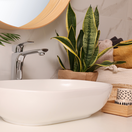 izbovky, izbové rastliny, kúpeľňa,