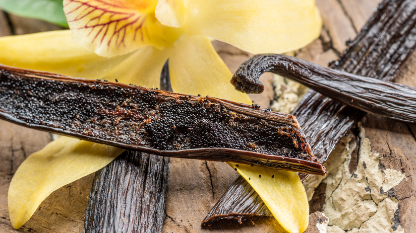 Vanilka voňavá - tobolka po fermentácii