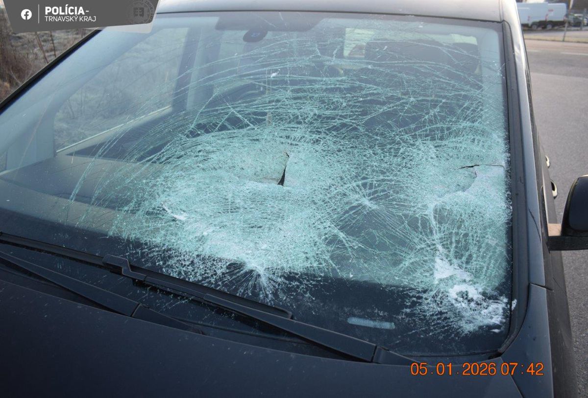 Takto skončilo čelné sklo Kie po zásahu kusu...