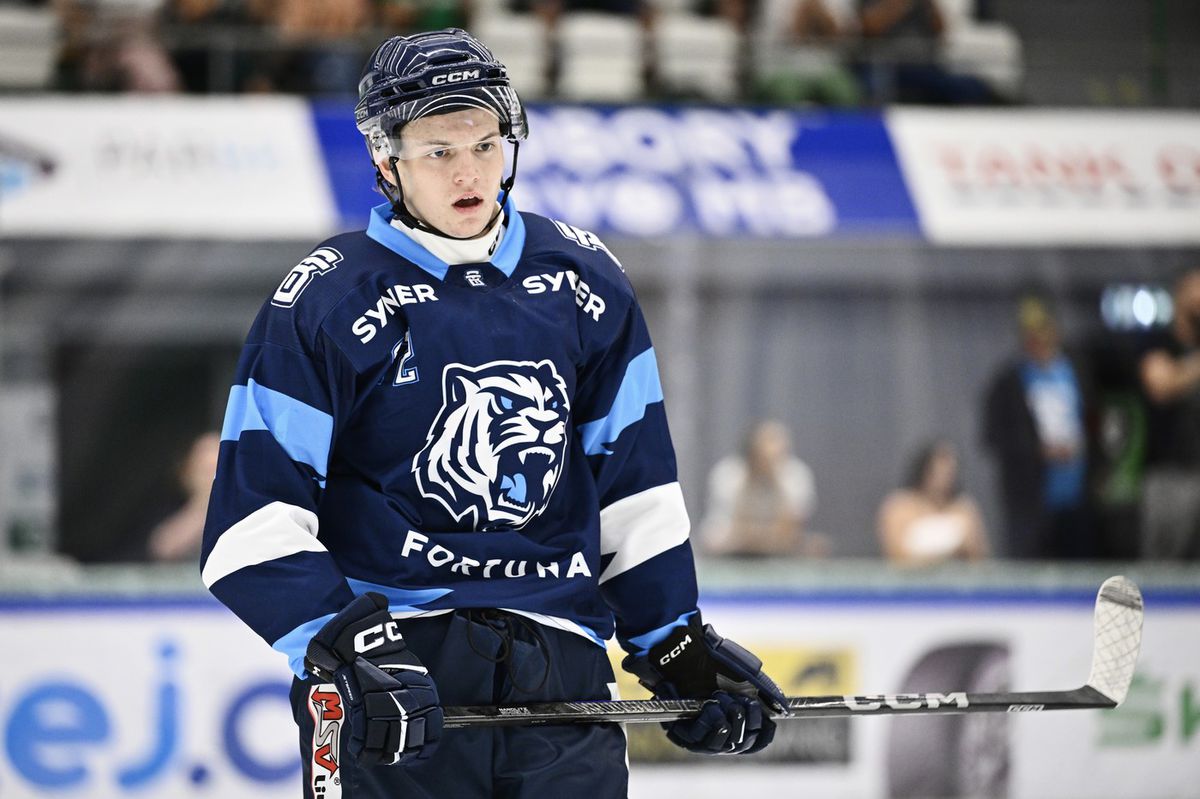 Adrien Bartovič je kmeňovým hráčom Bílí Tygři...