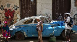 Foto týždňa (1): Kŕdeľ, India, Havana