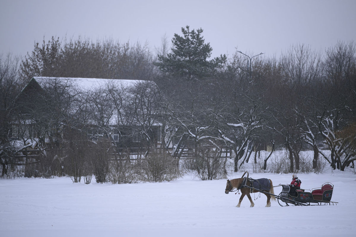 Rusko, sneh, zima, sane