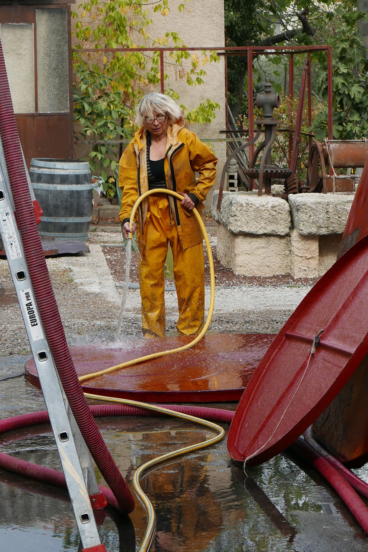 Vinohradníčka Viera Eychenne sa čiernej práce...