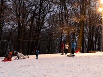 kamzík bratislav sánkovanie sneh