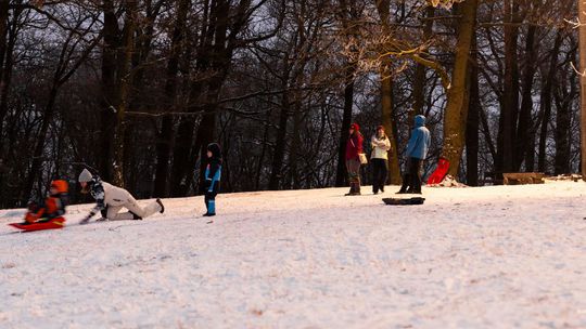 Bratislavské mestské lesy čakajú cez víkend nápor návštevníkov, polícia odporúča prísť MHD