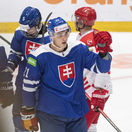 SR ZOH2022 Hokej kvalifikácia Slovensko Ružička