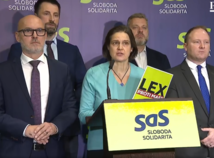 kolíková, grohling, SaS, lex