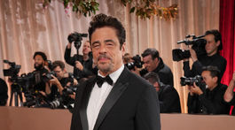 Nominovaný herec Benicio del Toro.