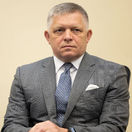 Robert Fico, ústavný súd