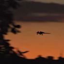 Beštia z Kandaháru: ruská protivzdušná obrana čelila vo Venezuele utajovanému systému USA