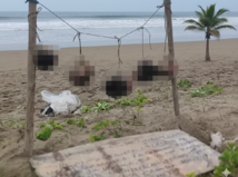 Na turisticky obľúbenej pláži sa našlo...