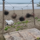 Na turisticky obľúbenej pláži sa našlo päť ľudských hláv zavesených na lanách. Vedľa nich bol odkaz