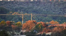 Zrážka rýchlovlakov v Španielsku