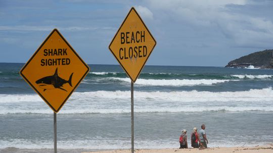 Žralok napadol v Austrálii štvrtého človeka v priebehu dvoch dní, smrti unikol o vlások. Úrady uzavreli pláže 