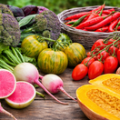 zelenina, zeleninové novinky, 2026, zeleninové odrody, NEPOUŽÍVAŤ