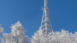 kamzík, zima, bratislava, koliba