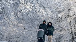 kamzík, zima, bratislava, koliba