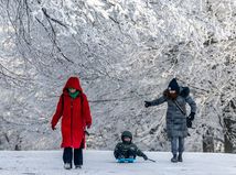 kamzík, zima, bratislava, koliba