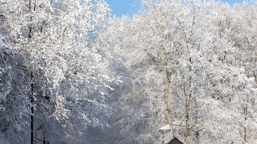Zimná atmosféra na bratislavskej Kolibe.