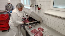 divina, balenie, Topoľčianky