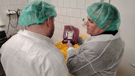 divina, hotový produkt, Topoľčianky