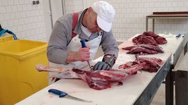 divina, spracovanie, Topoľčianky