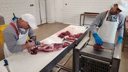 divina, spracovanie, Topoľčianky