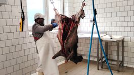 divina, spracovanie, Topoľčianky