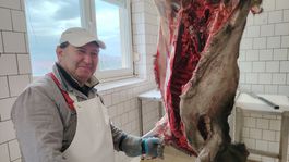 Proces spracovania diviny