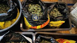 Národná protidrogová jednotka Prezídia...