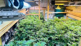 Národná protidrogová jednotka Prezídia...