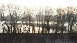 SR Bratislava Dunaj lode skríženie BAX