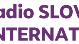 logo STVR