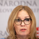 Šubová vystúpila v Bruseli, upozornila na podvody pri eurofondoch. Europoslanec z ANO jej slová spochybnil