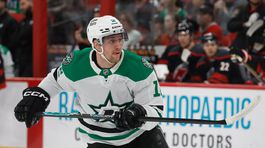Radek Faksa