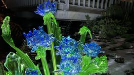 Krištáľová záhrada v pražskej botanickej