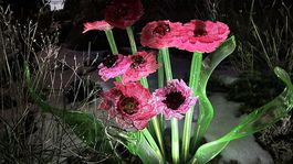 Fantastické sklené diela Jiřího Pačinka sú v...