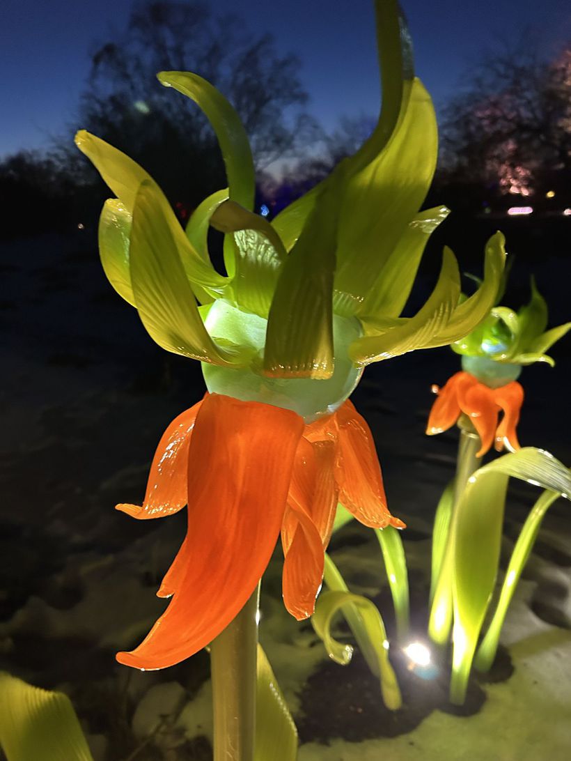 Fantastické sklené diela Jiřího Pačinka sú v...